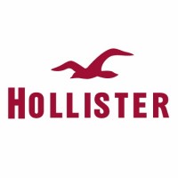 hollister jobs