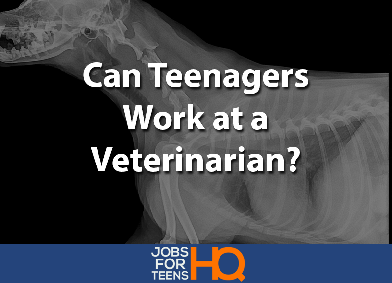 Can teens work at the vet